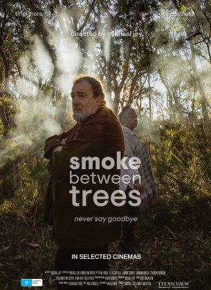 smoke between trees